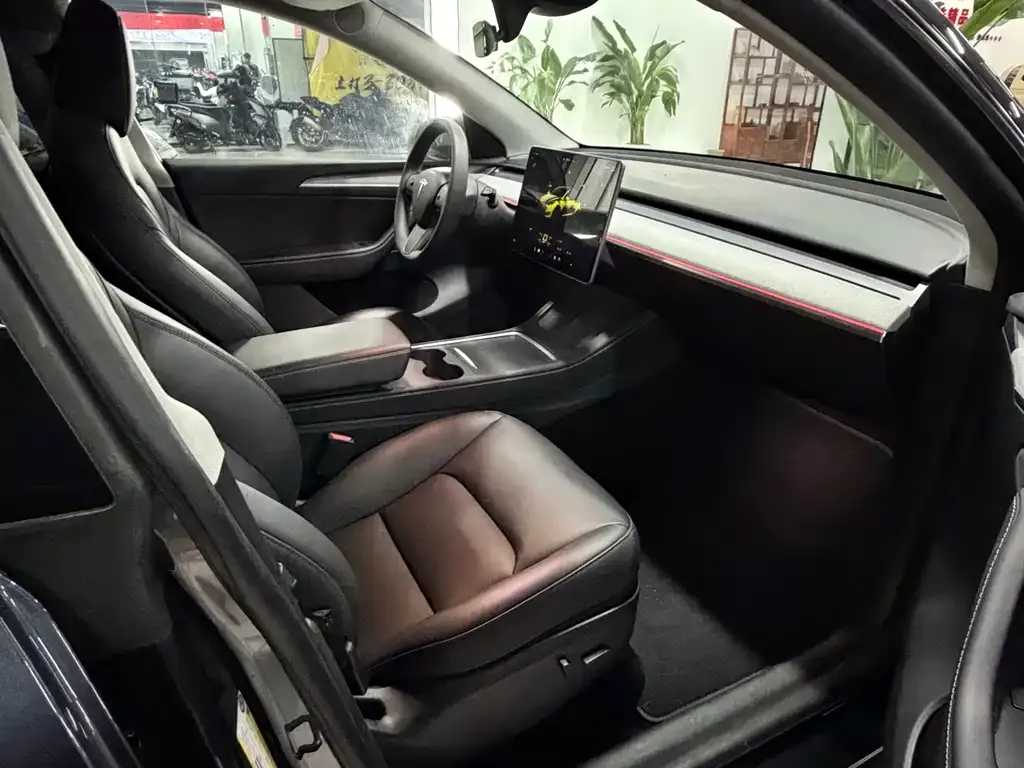 Tesla Model Y 2024 из CN, фото 6