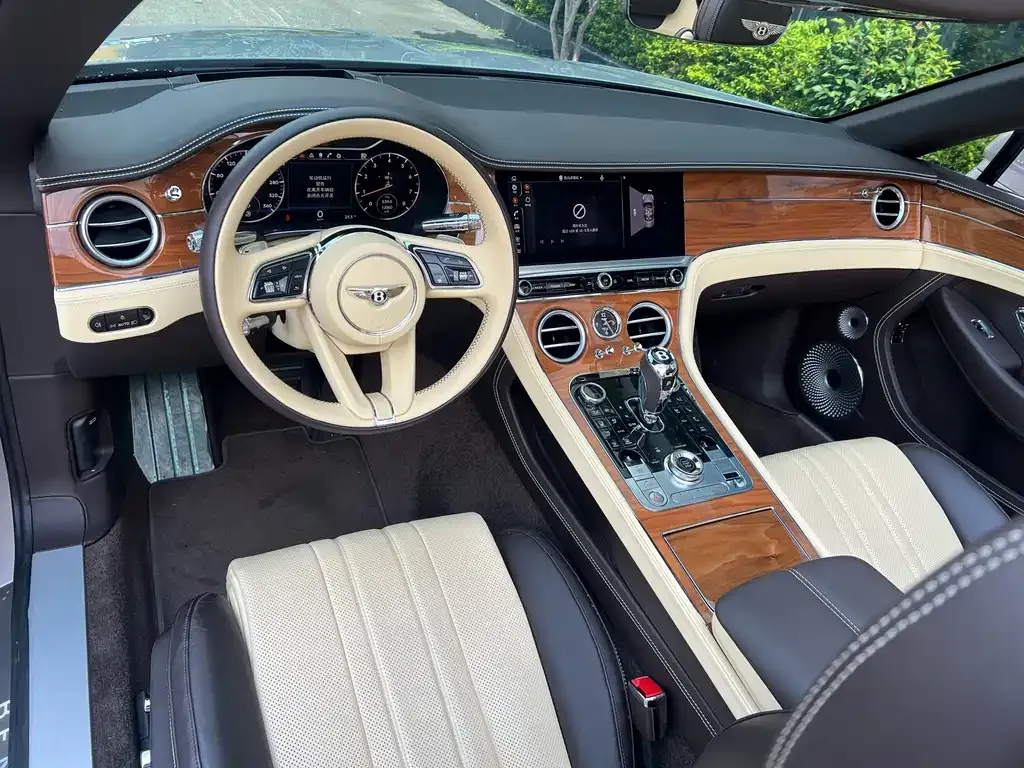 Bentley Continental 2024 из CN, фото 8