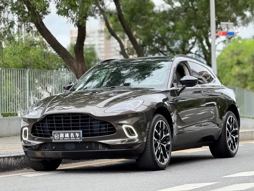 Aston Martin DBX 2021 из CN, фото 1