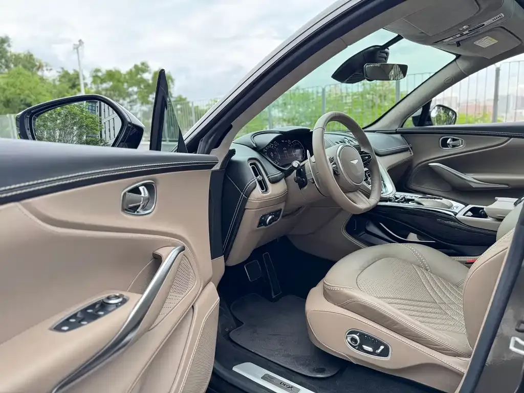 Aston Martin DBX 2021 из CN, фото 10