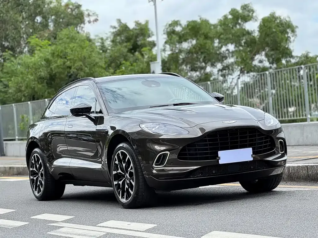 Aston Martin DBX 2021 из CN, фото 2