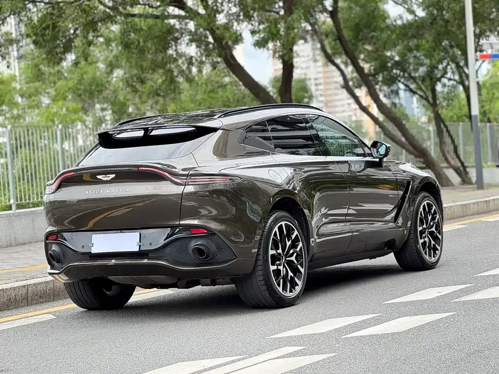 Aston Martin DBX 2021 из CN, фото 3