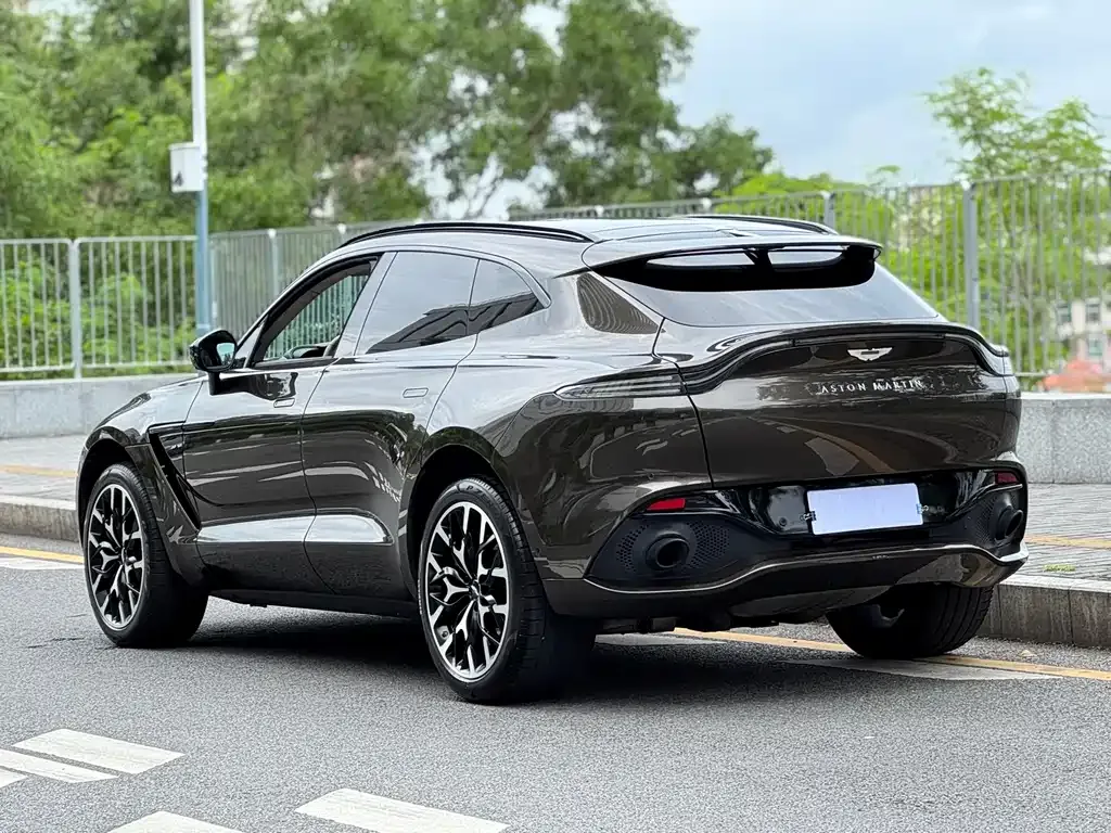 Aston Martin DBX 2021 из CN, фото 4