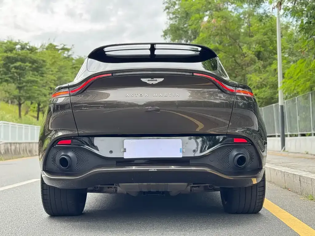 Aston Martin DBX 2021 из CN, фото 5
