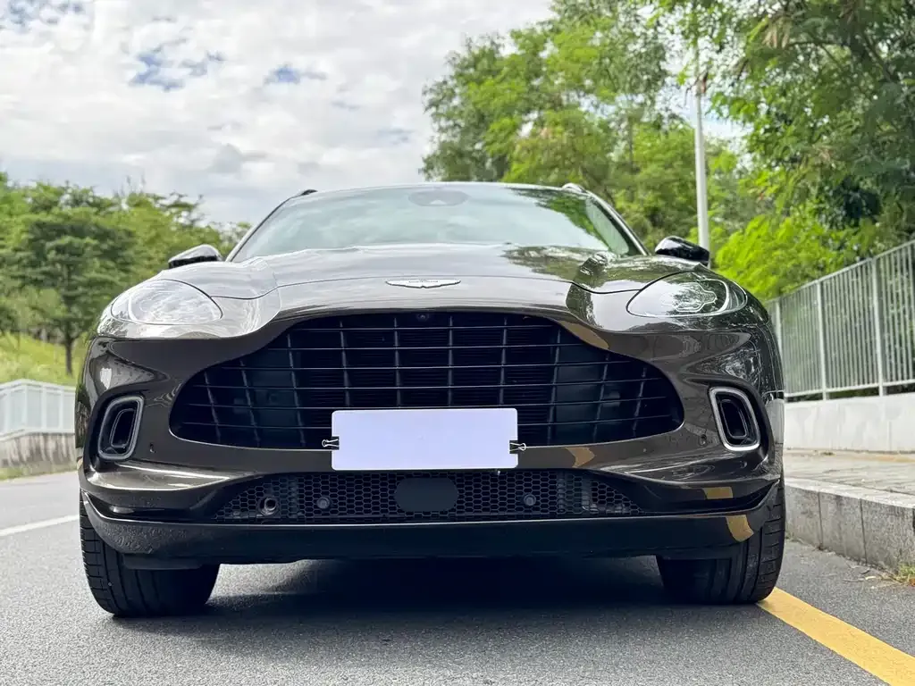 Aston Martin DBX 2021 из CN, фото 6