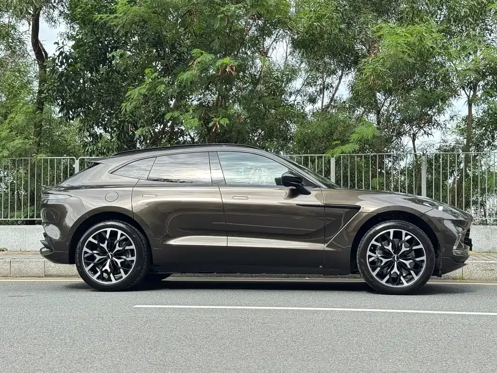 Aston Martin DBX 2021 из CN, фото 7