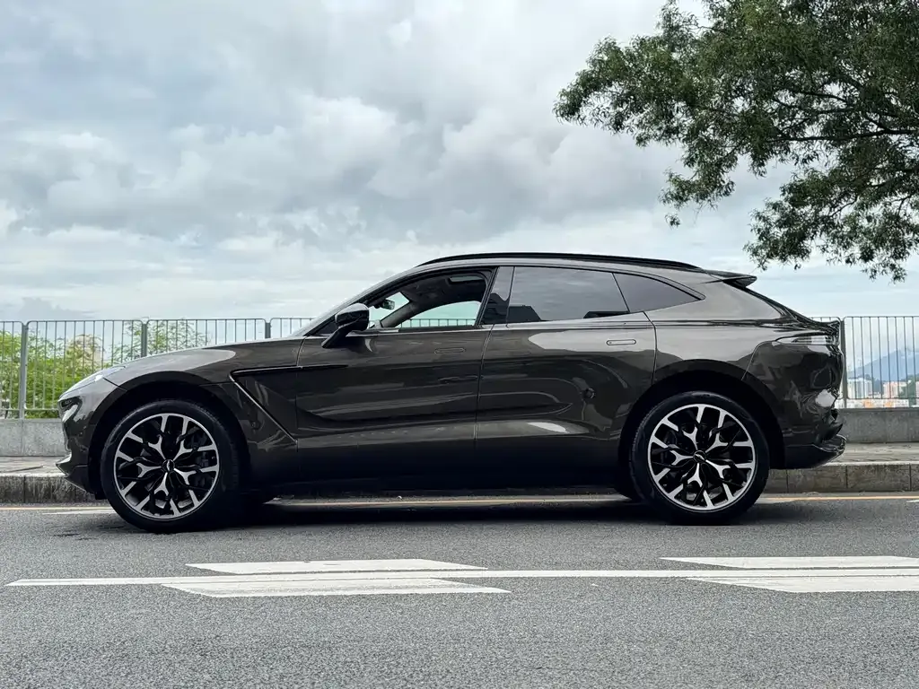 Aston Martin DBX 2021 из CN, фото 8