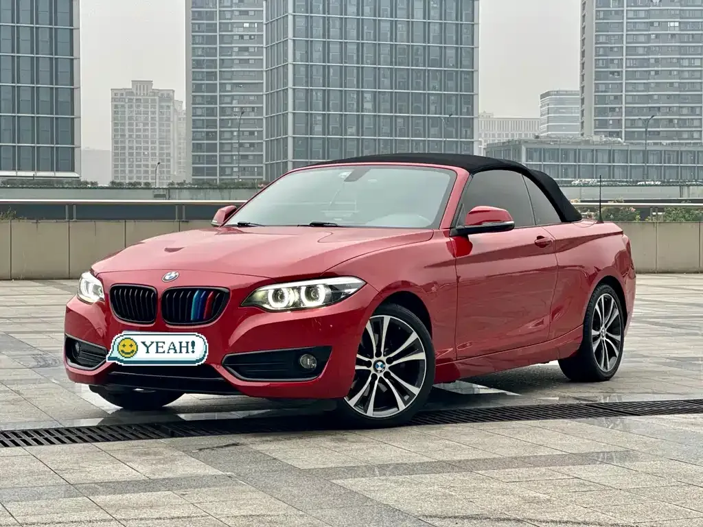 BMW 2 Series (Import) 2021 из CN, фото 1
