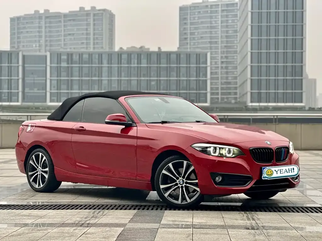 BMW 2 Series (Import) 2021 из CN, фото 2