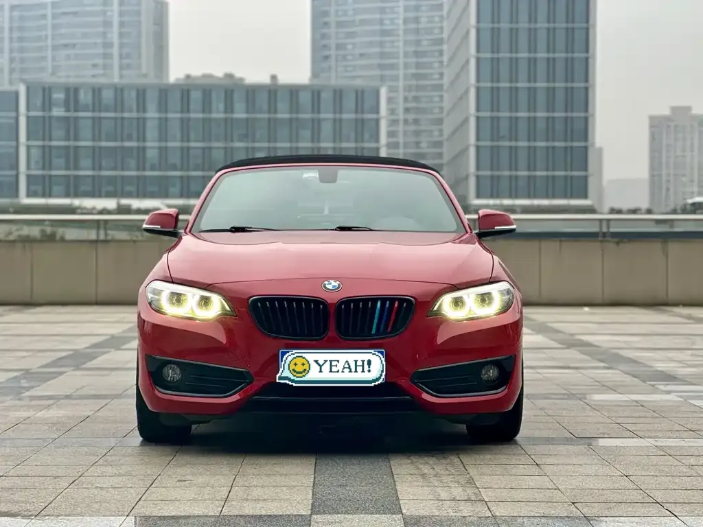 BMW 2 Series (Import) 2021 из CN, фото 3