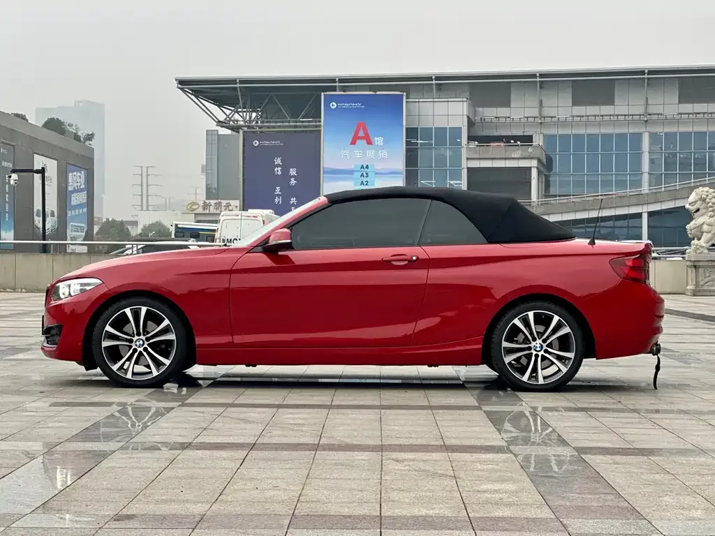 BMW 2 Series (Import) 2021 из CN, фото 4