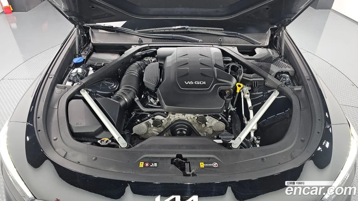 [object Object] K9 2022 из KR, фото 6