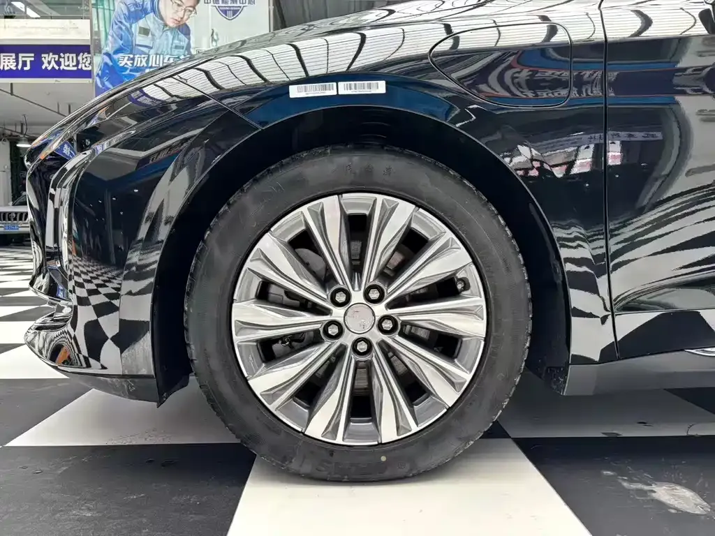 Hongqi E-QM5 2024 из CN, фото 9