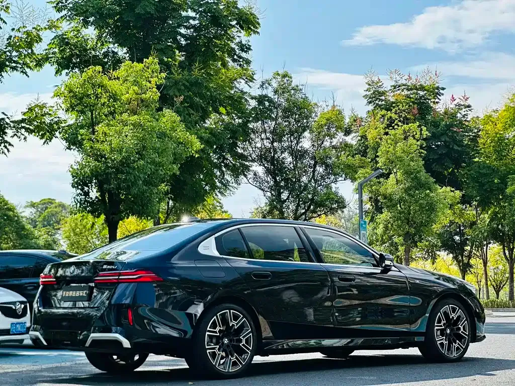 BMW 5 Series 2024 из CN, фото 6