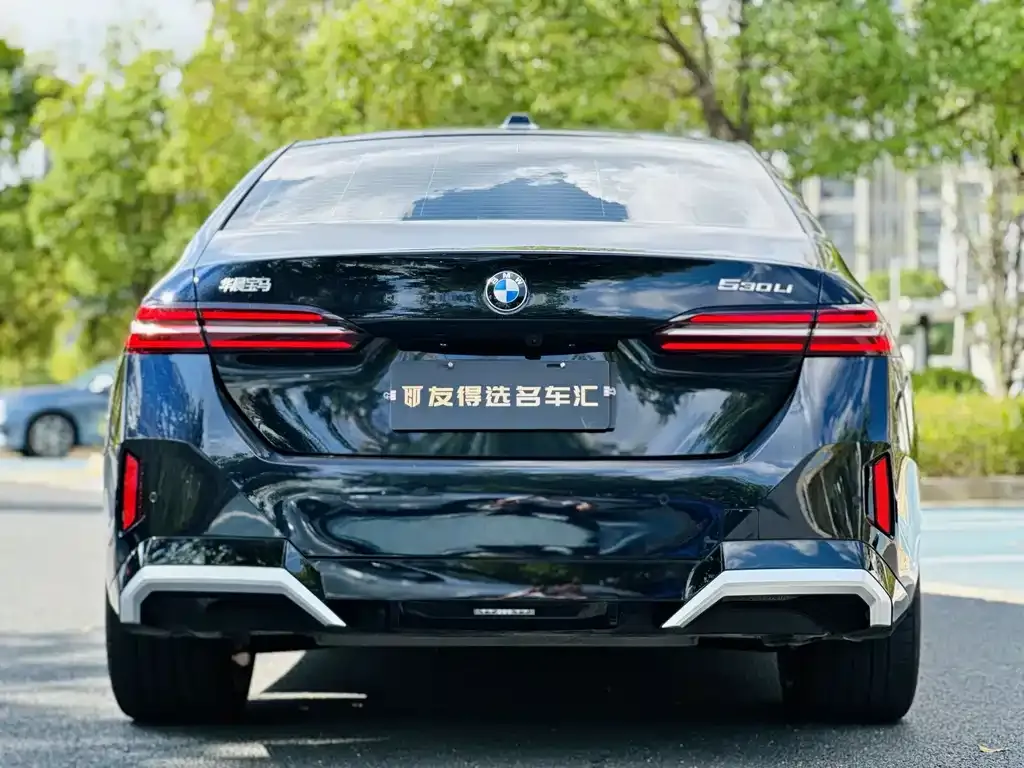 BMW 5 Series 2024 из CN, фото 8