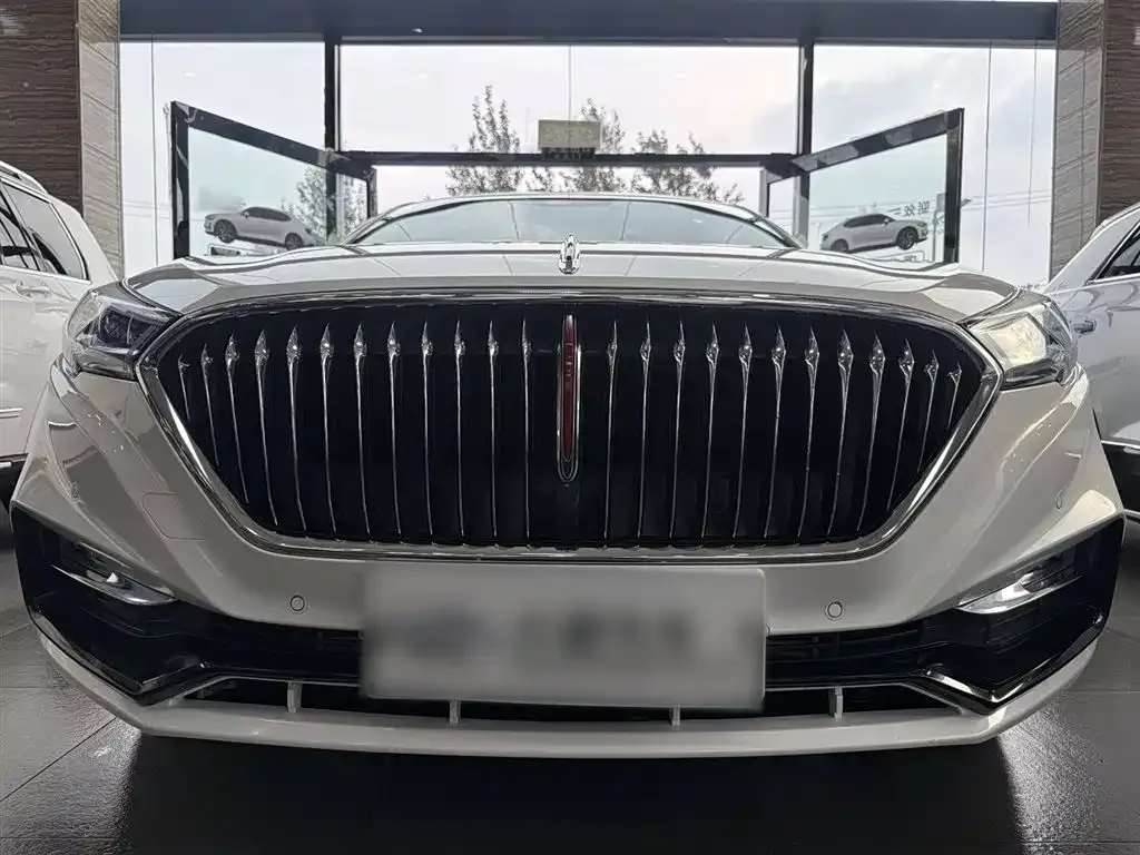 Hongqi H5 2021 из CN, фото 6