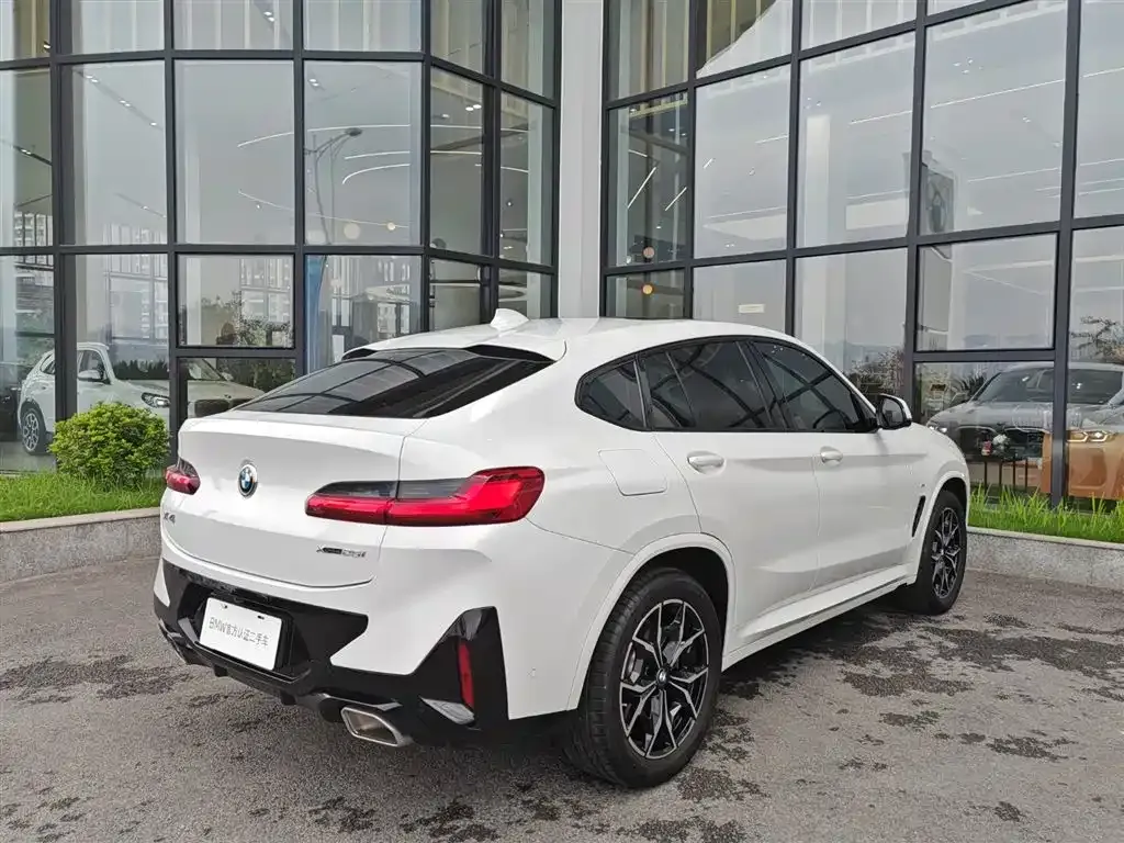 BMW X4 2023 из CN, фото 2
