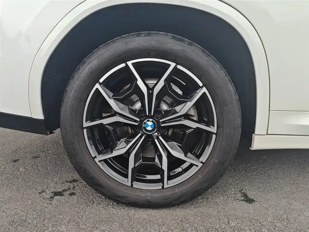 BMW X4 2023 из CN, фото 4