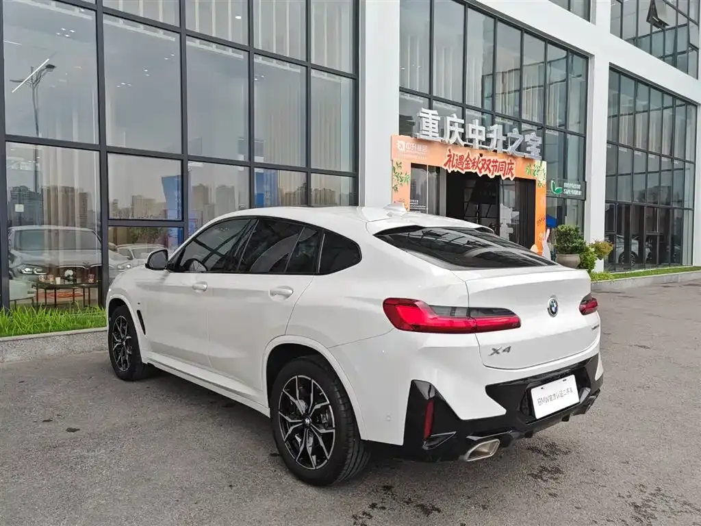 BMW X4 2023 из CN, фото 6