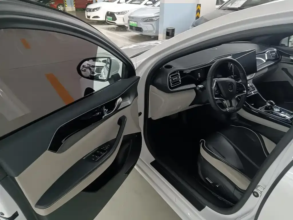 BYD Qin PLUS 2022 из CN, фото 10