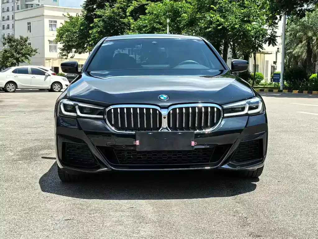 BMW 5 Series 2023 из CN, фото 2