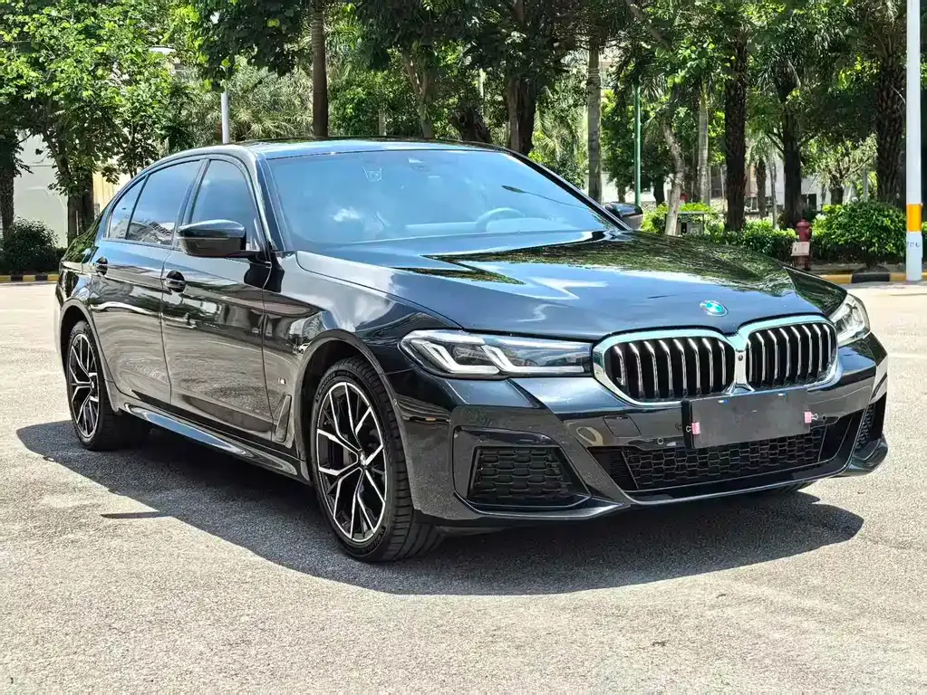 BMW 5 Series 2023 из CN, фото 3