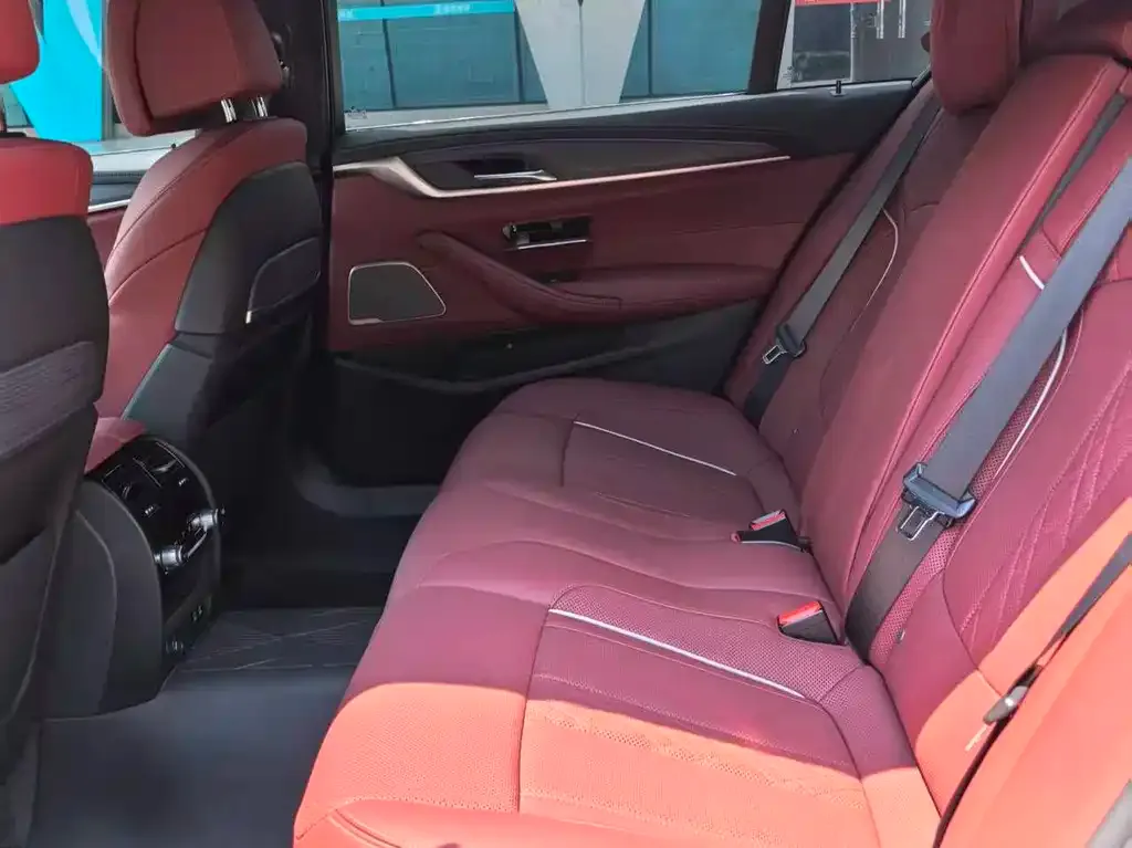 BMW 5 Series 2023 из CN, фото 8