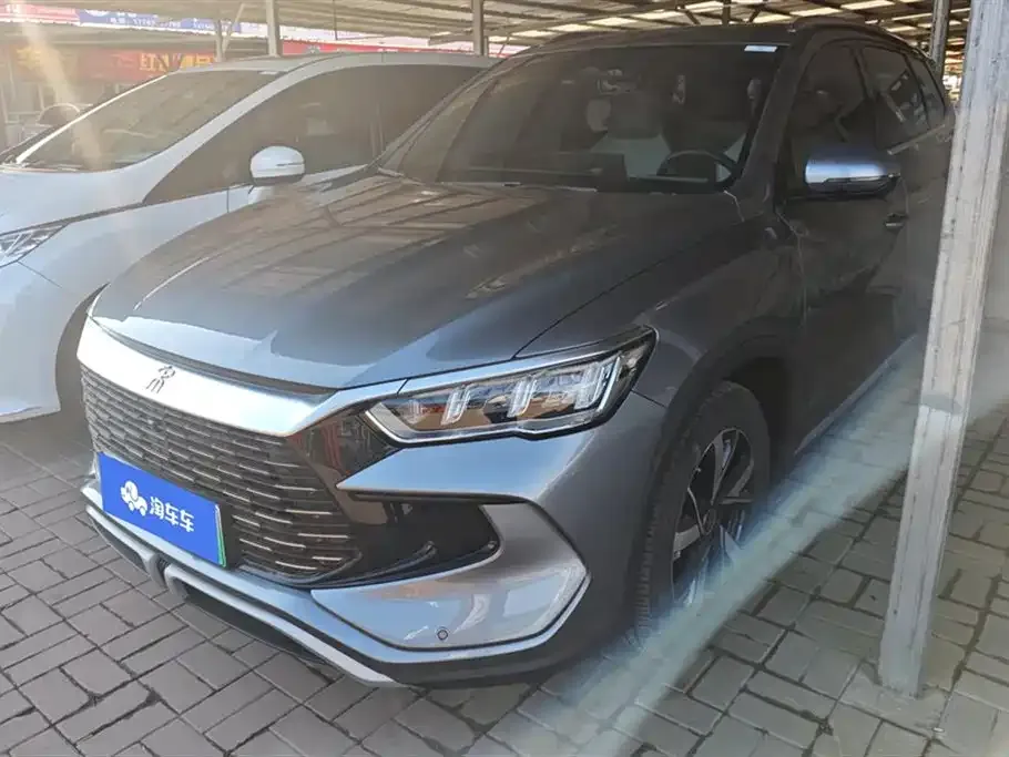 BYD Pro New Energy 2024 из CN, фото 1
