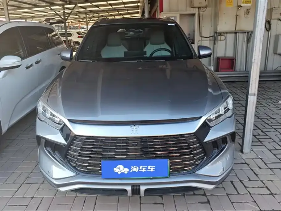 BYD Pro New Energy 2024 из CN, фото 2