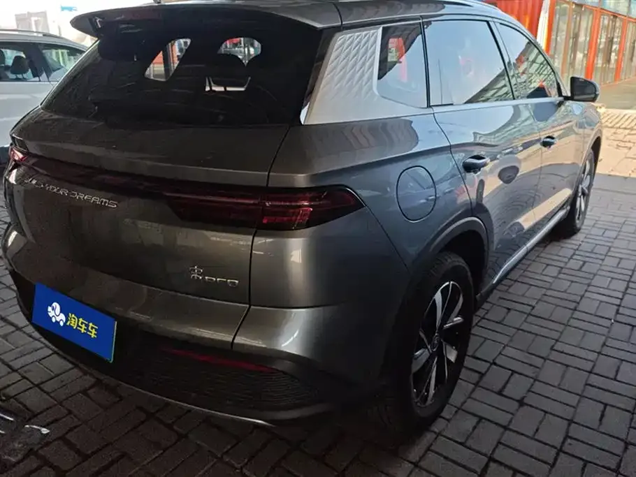 BYD Pro New Energy 2024 из CN, фото 3