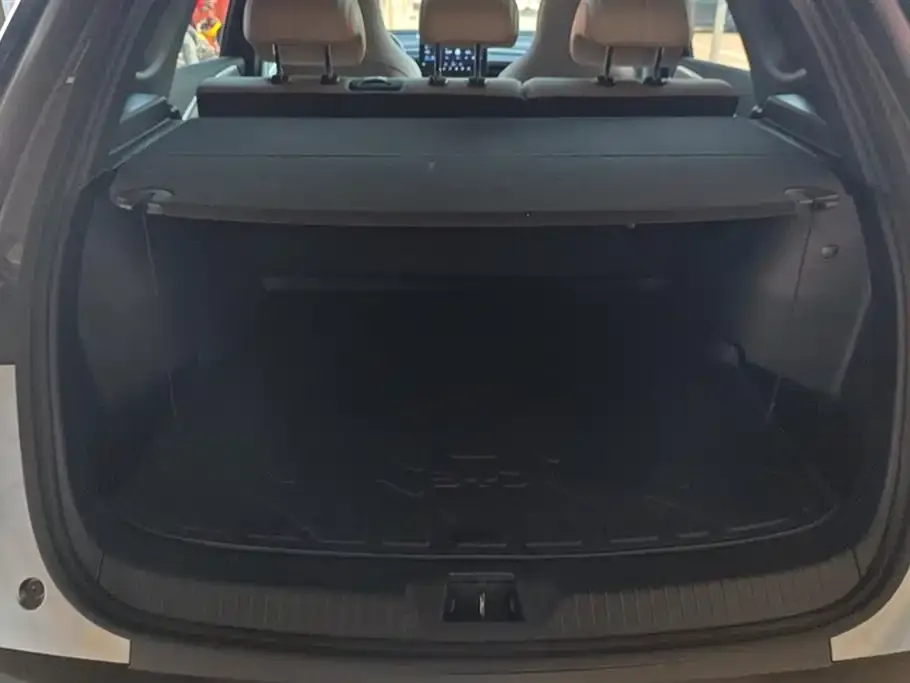BYD Pro New Energy 2024 из CN, фото 4