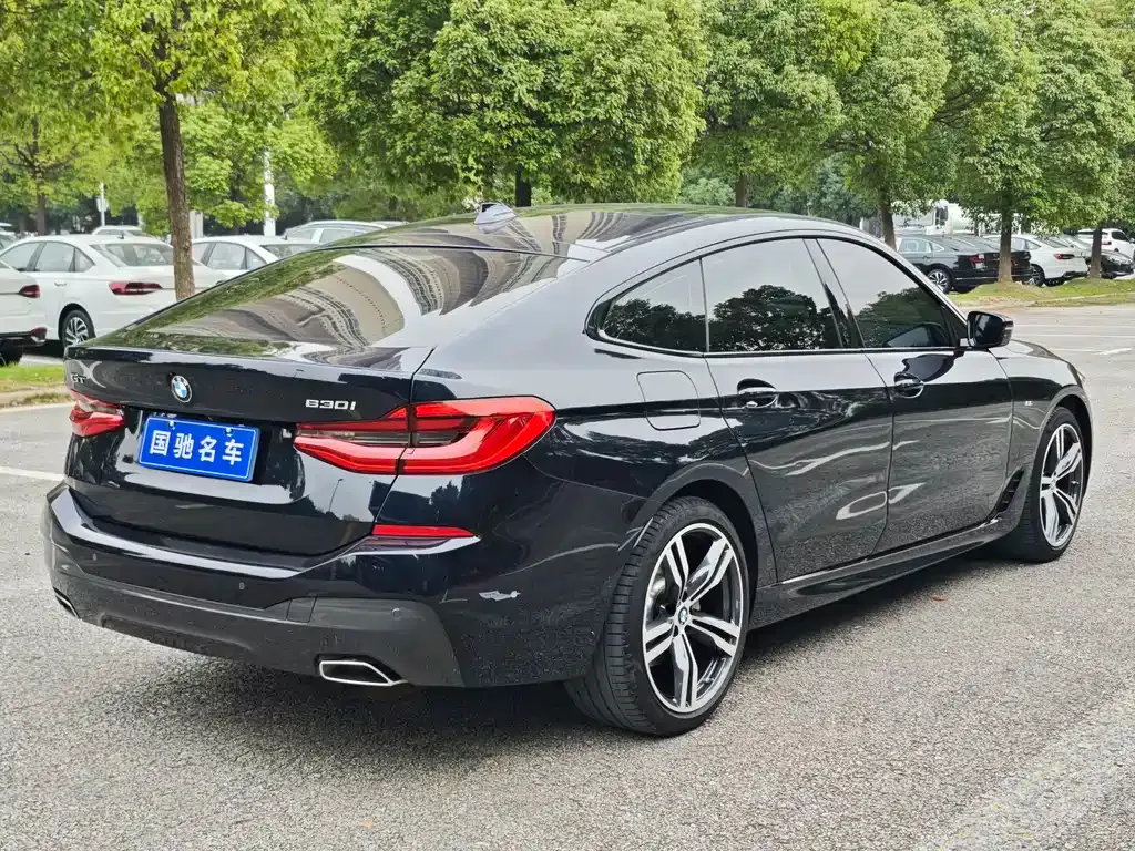 BMW 6 Series GT 2024 из CN, фото 5