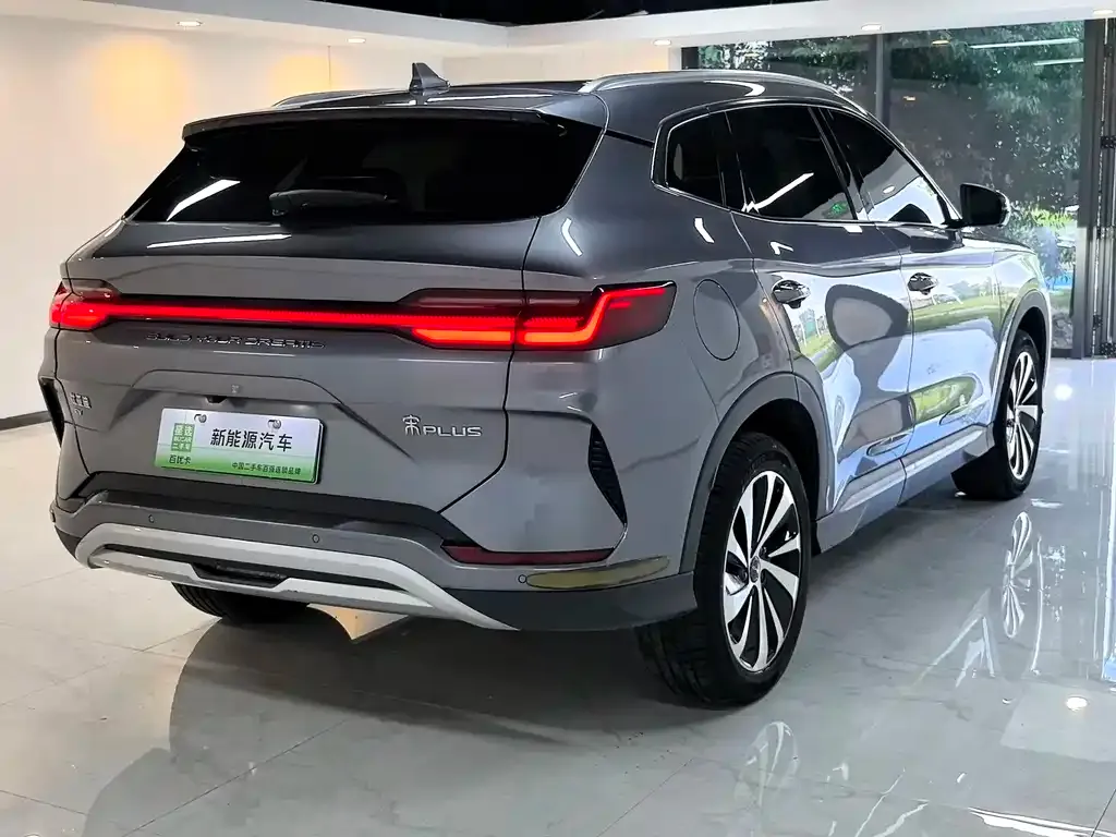 BYD PLUS New Energy — фото 9