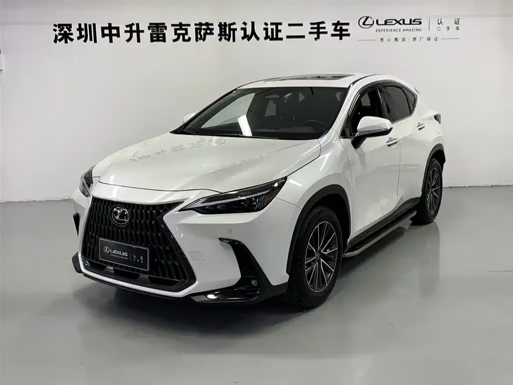 Lexus NX New Energy 2022 из CN, фото 1