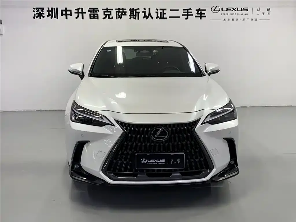 Lexus NX New Energy 2022 из CN, фото 2