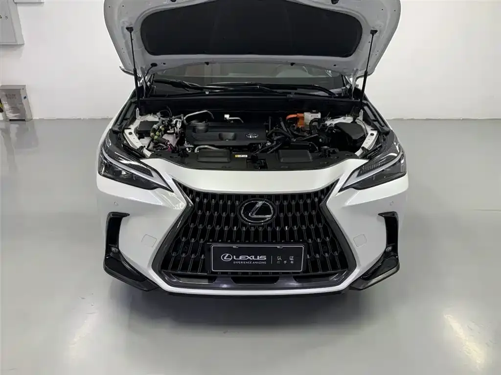 Lexus NX New Energy 2022 из CN, фото 3