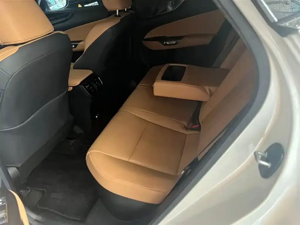Lexus NX New Energy 2022 из CN, фото 6