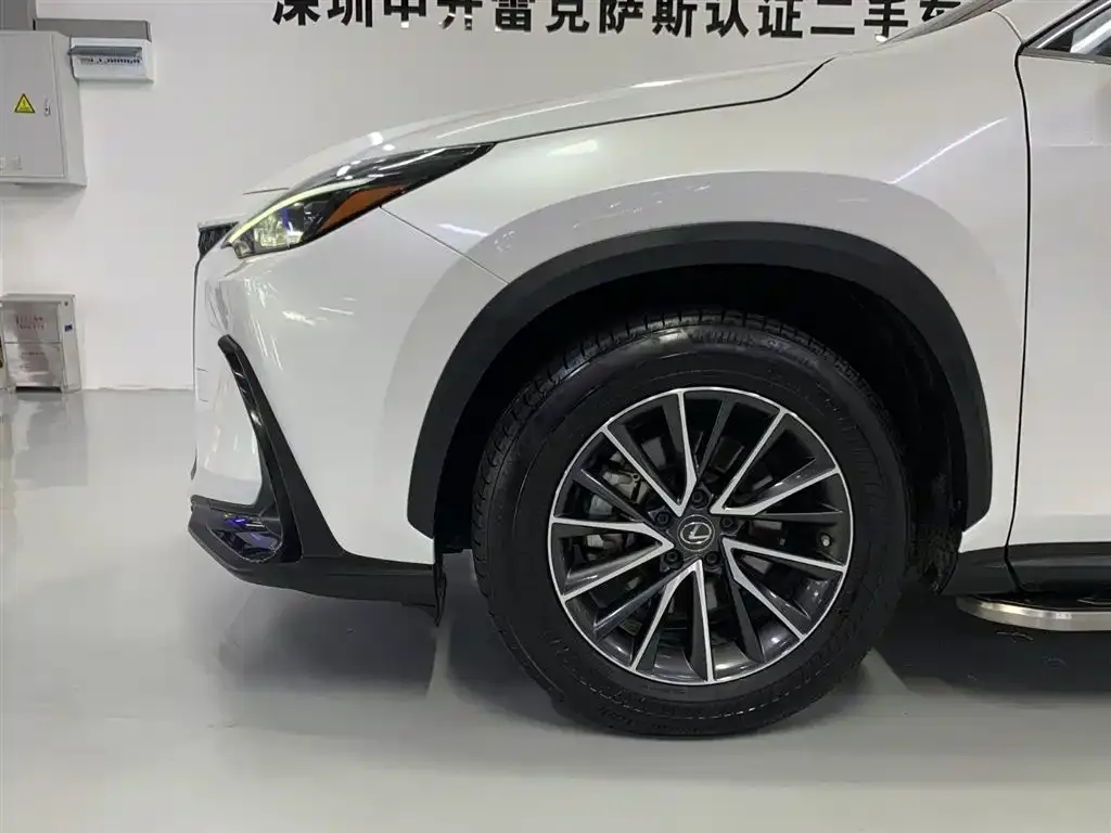 Lexus NX New Energy 2022 из CN, фото 7