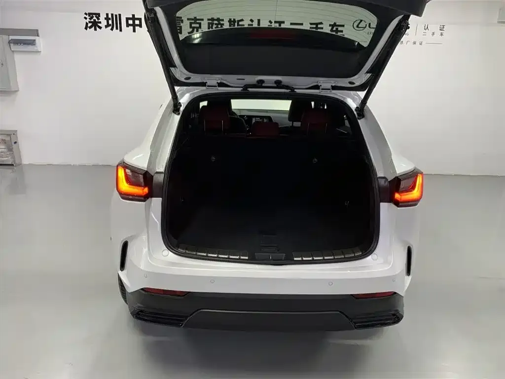 Lexus NX New Energy 2022 из CN, фото 8