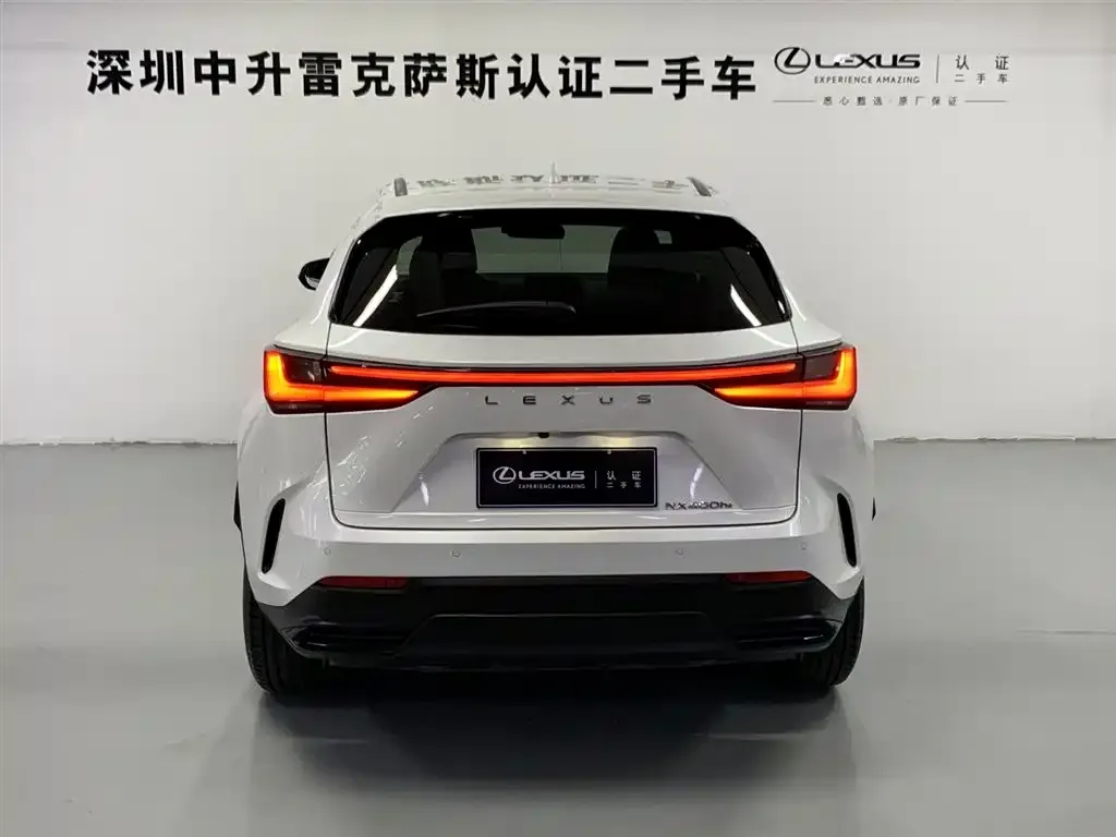 Lexus NX New Energy 2022 из CN, фото 9