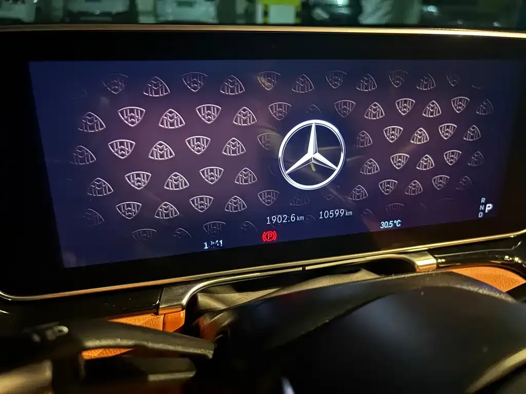 Mercedes-Benz S-Class 2024 из CN, фото 8