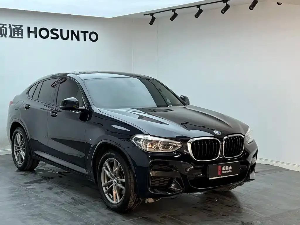 BMW X4 2021 из CN, фото 3