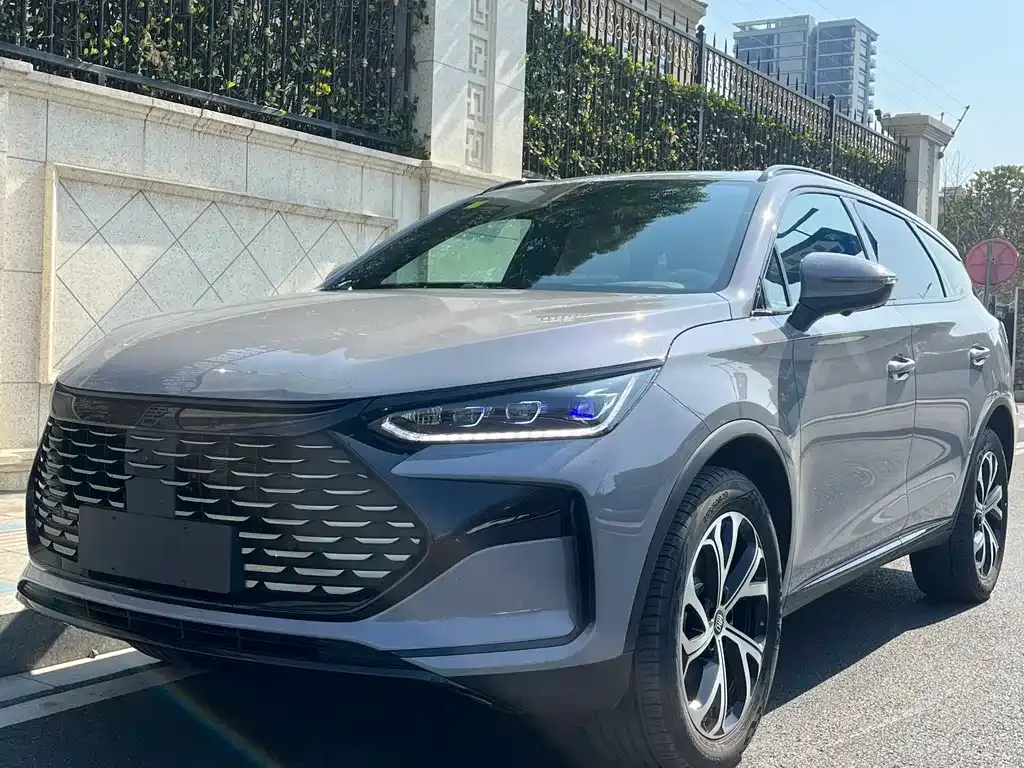 BYD Tang New Energy 2024 из CN, фото 1