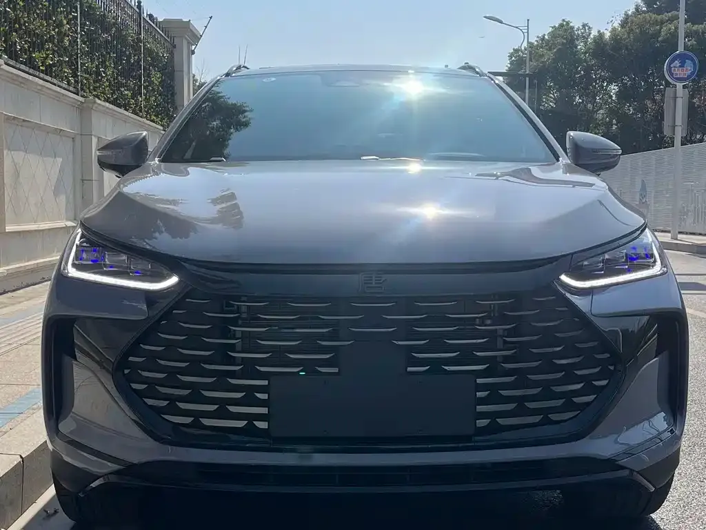 BYD Tang New Energy 2024 из CN, фото 2