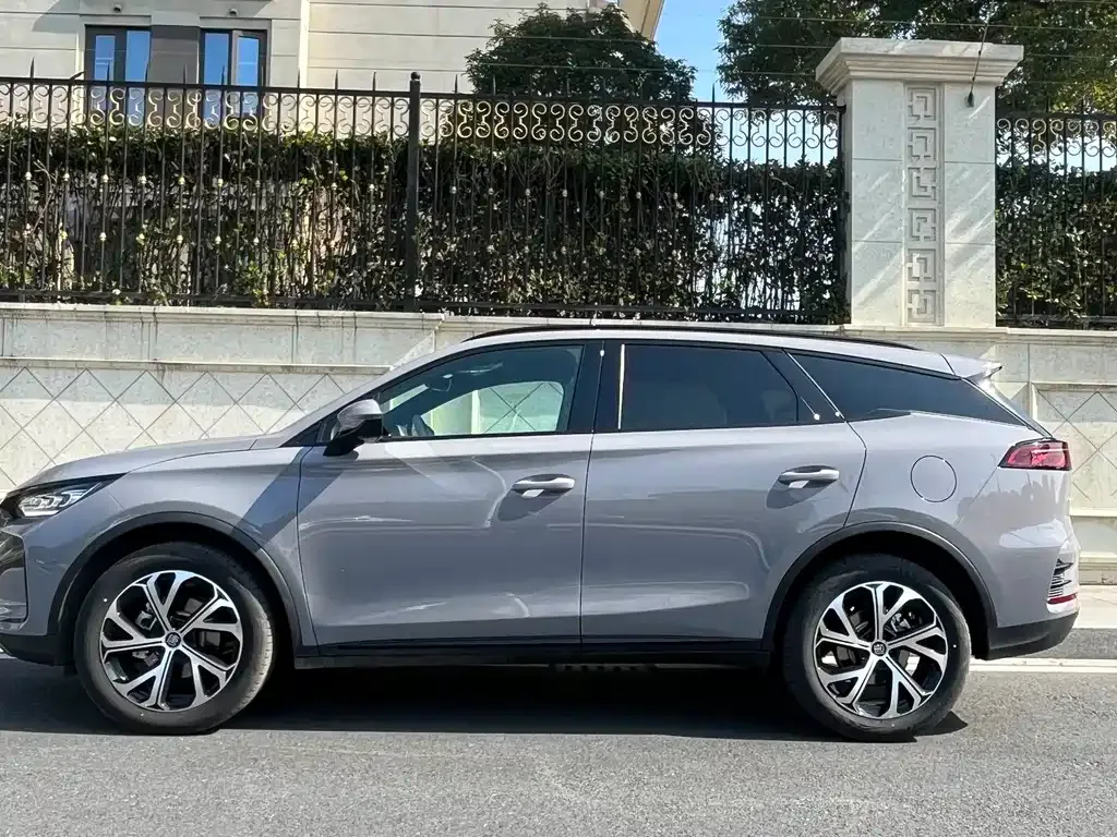 BYD Tang New Energy 2024 из CN, фото 3