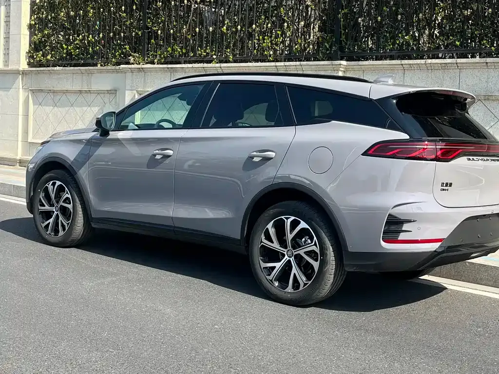 BYD Tang New Energy 2024 из CN, фото 4