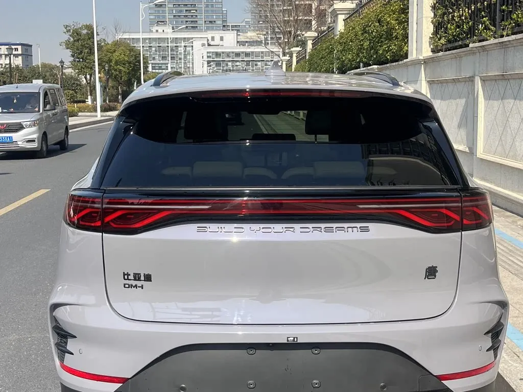 BYD Tang New Energy 2024 из CN, фото 5