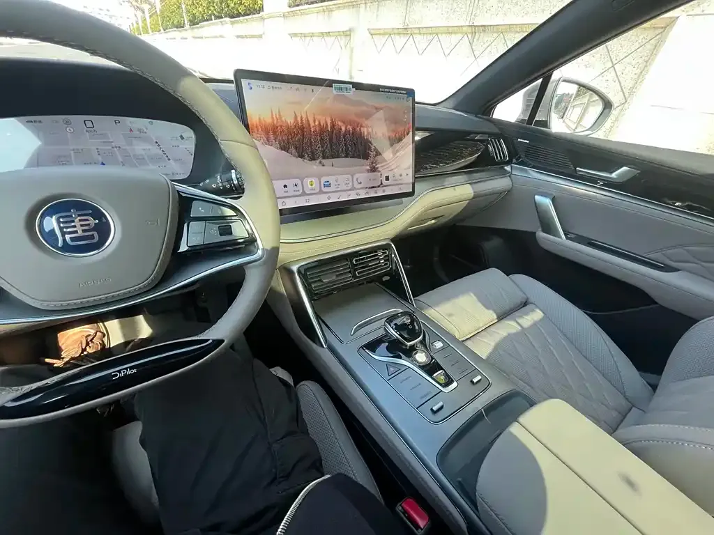 BYD Tang New Energy 2024 из CN, фото 8