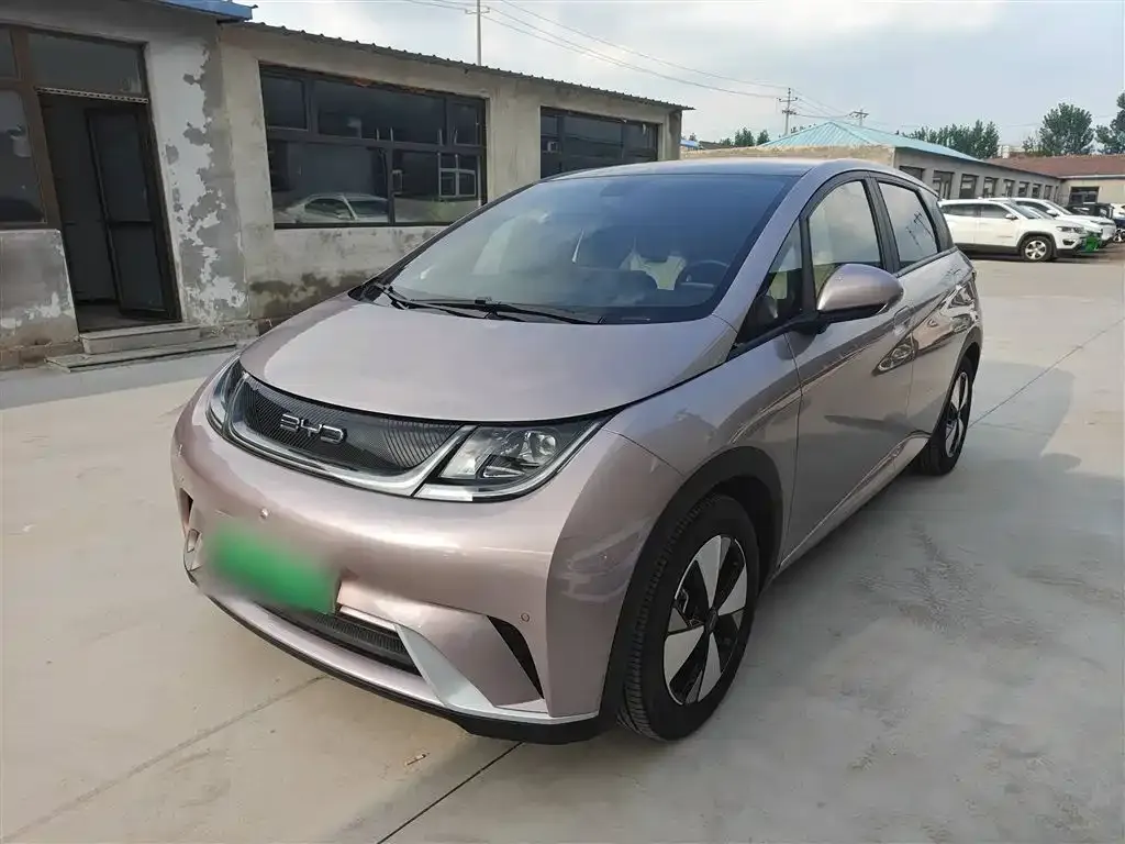 BYD Dolphin 2023 из CN, фото 2