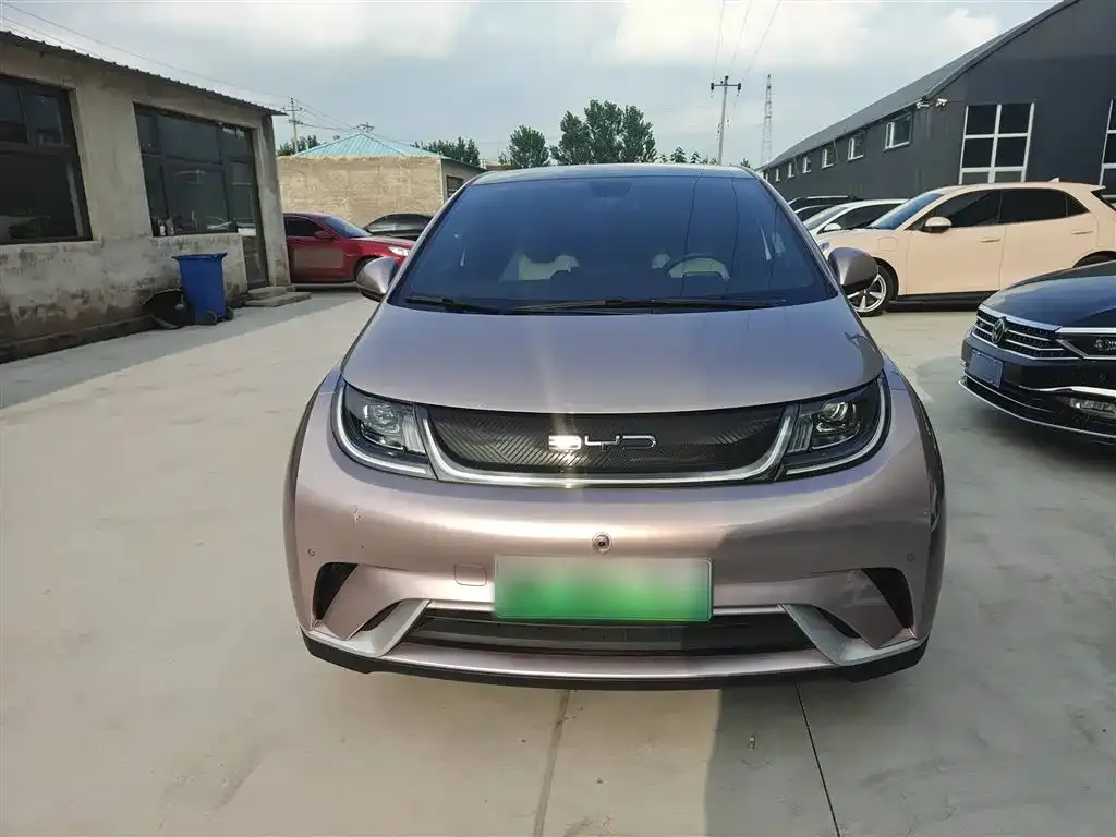 BYD Dolphin 2023 из CN, фото 4